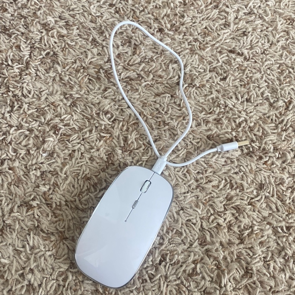 USB charging Bluetooth mouse.